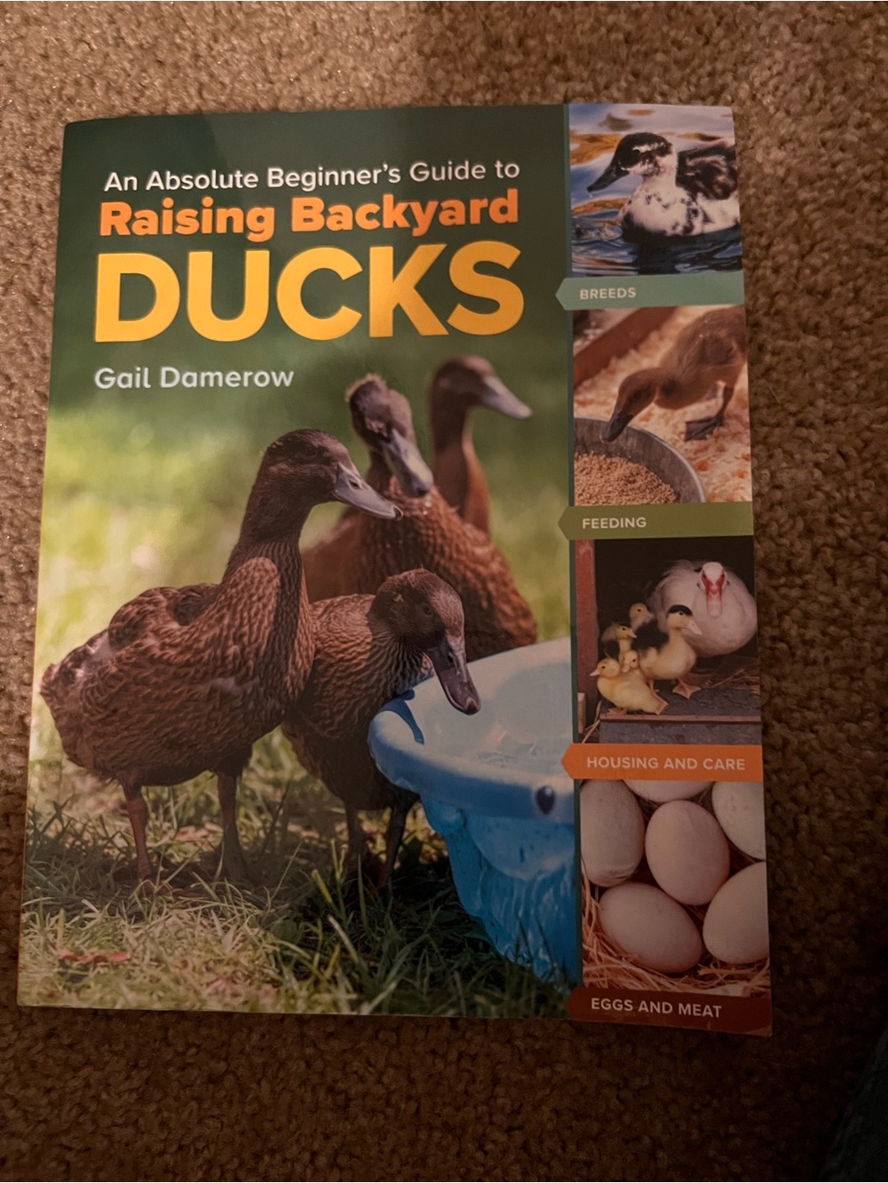 Raising Backyard Ducks - Green Cover